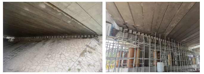 1650264071560042.png 5.png