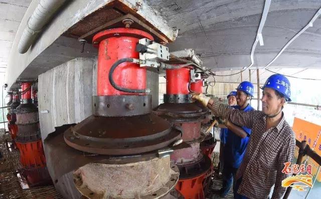 1650534314115406.jpg 1.jpg