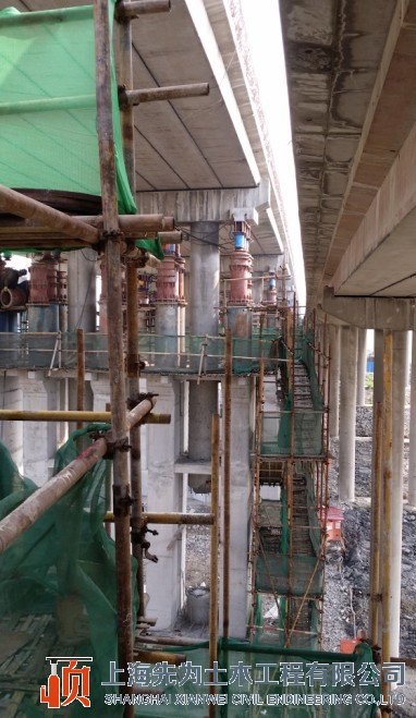 1650635097209501.jpg 1.jpg